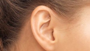 Oreilles Géantes En Plastique : Deguise-toi, Achat De Accessoires